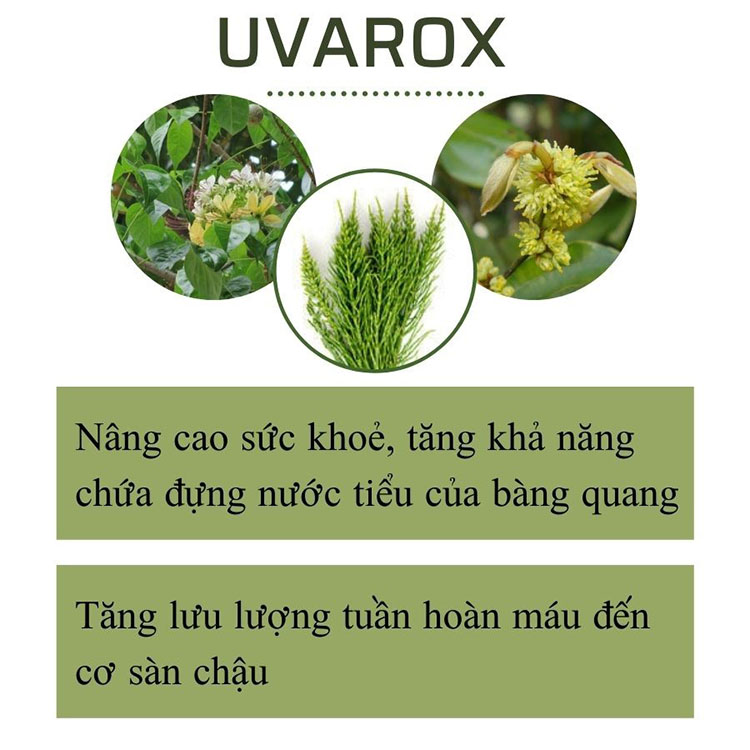 Cao UVAROX – Hoạt chất được cấp bằng sáng chế trong điều trị bàng quang tăng hoạt OAB 1