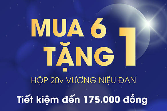 ƯU ĐÃI ĐẶC BIỆT: Mua 6 hộp Vương Niệu Đan 20 viên được tặng 1 hộp 20 viên, tiết kiệm đến 175.000 đồng