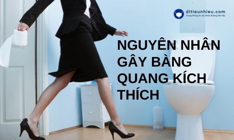 Nguyên nhân gây bàng quang kích thích, cách phòng và cải thiện bệnh