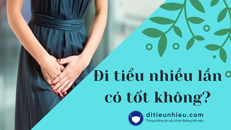 [Chuyên gia giải đáp] Đi tiểu nhiều lần trong ngày có tốt không?