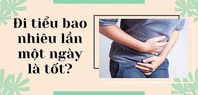  5 phút tìm hiểu ngay - Đi tiểu bao nhiêu lần 1 ngày là tốt?