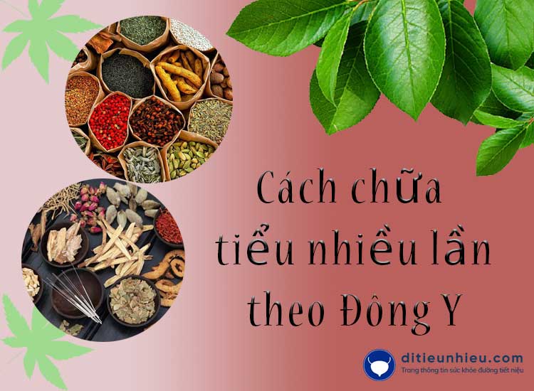 Top 5 cách chữa tiểu nhiều theo đông y hiệu quả nhất