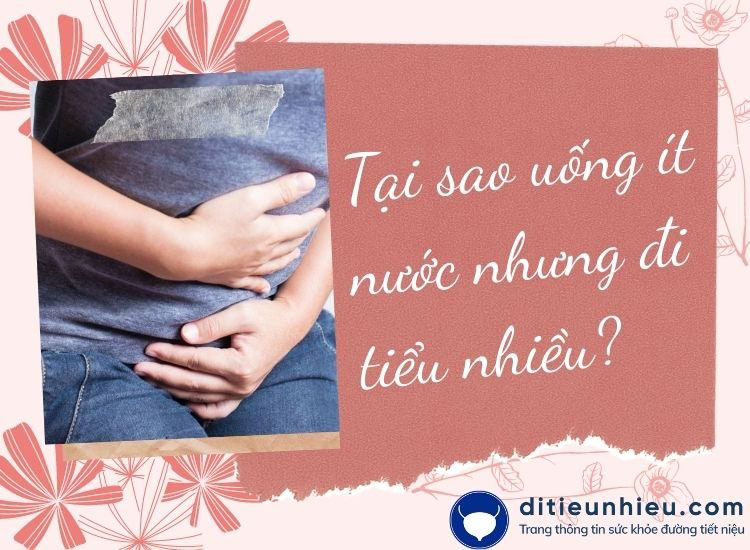 [Chuyên gia giải đáp] Tại sao uống ít nước lại đi tiểu nhiều?