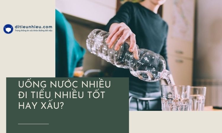 Uống nước nhiều đi tiểu nhiều tốt hay xấu? Lời khuyên từ chuyên gia dành cho bạn