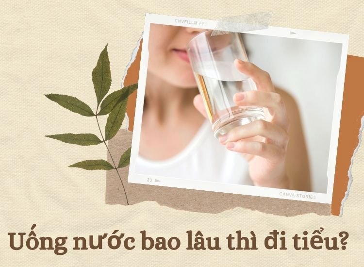 Tìm hiểu ngay - uống nước bao lâu thì đi tiểu?