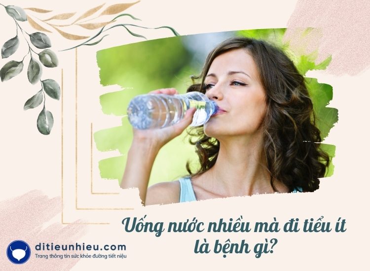 Uống nước nhiều mà đi tiểu ít là bệnh gì? Mẹo kiểm soát hiệu quả