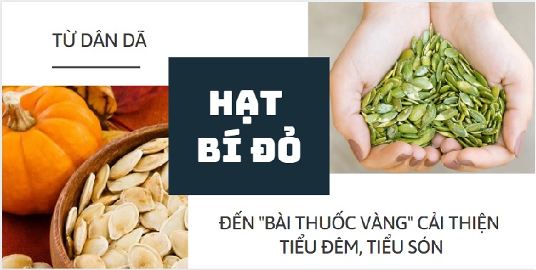 Hạt bí đỏ - từ dân dã đến “bài thuốc vàng” cải thiện tiểu đêm, tiểu són