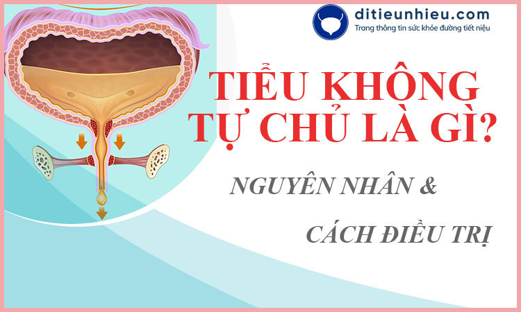 Tiểu không tự chủ là gì? Nguyên nhân và cách điều trị